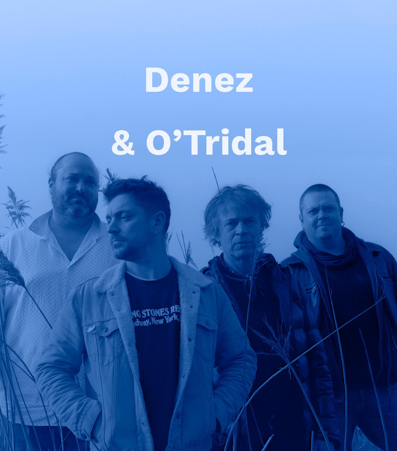 Denez O'Tridal - Gouel Broadel ar Brezhoneg 2025